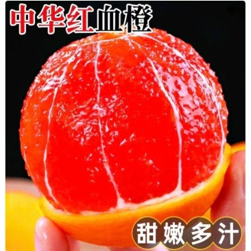 中华红血橙红心橙塔罗科产地大量上市货源充足保质保量