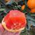 中华红血橙红心橙塔罗科产地大量上市货源充足保质保量