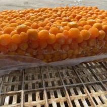 蛋黄