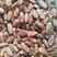 厂家直发精品沙特椰枣一手货源，品质好价格低欢迎咨询