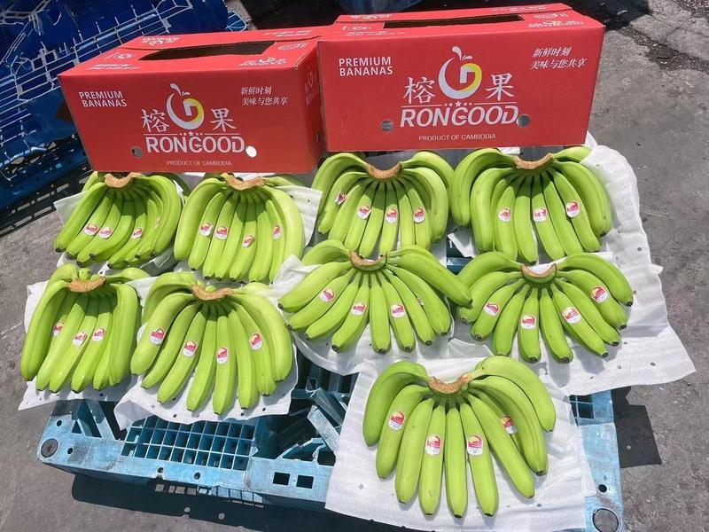 常年经营:特价菲律宾精品二级蕉，净重27斤，保质保量。