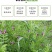 光叶紫花苕种子毛苕子种子果园绿肥种籽养蜂蜜源植物牧草草籽