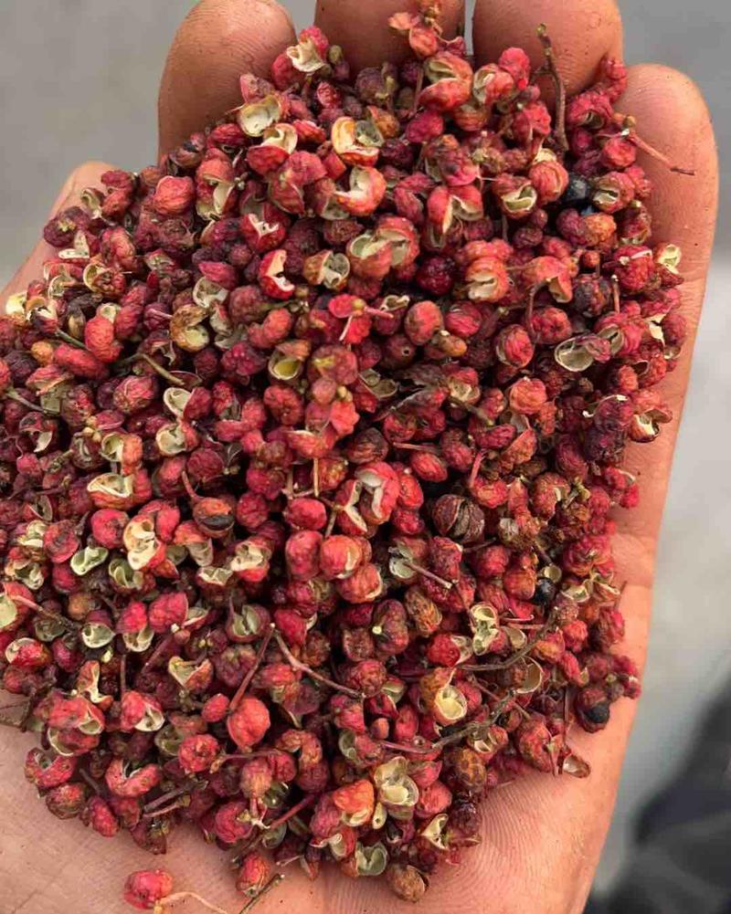 韩城大红袍花椒，品质保证，货源充足，产地直供，欢迎采购