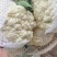 福建漳州有机松花（散花）新上市，欢迎广大老板前来采购！