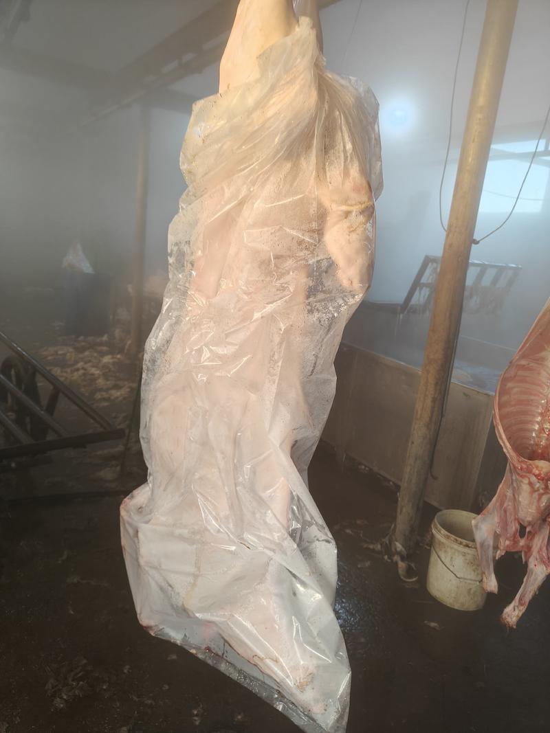 带皮瘦羊13一斤常年现货50吨以上去尾净腔
