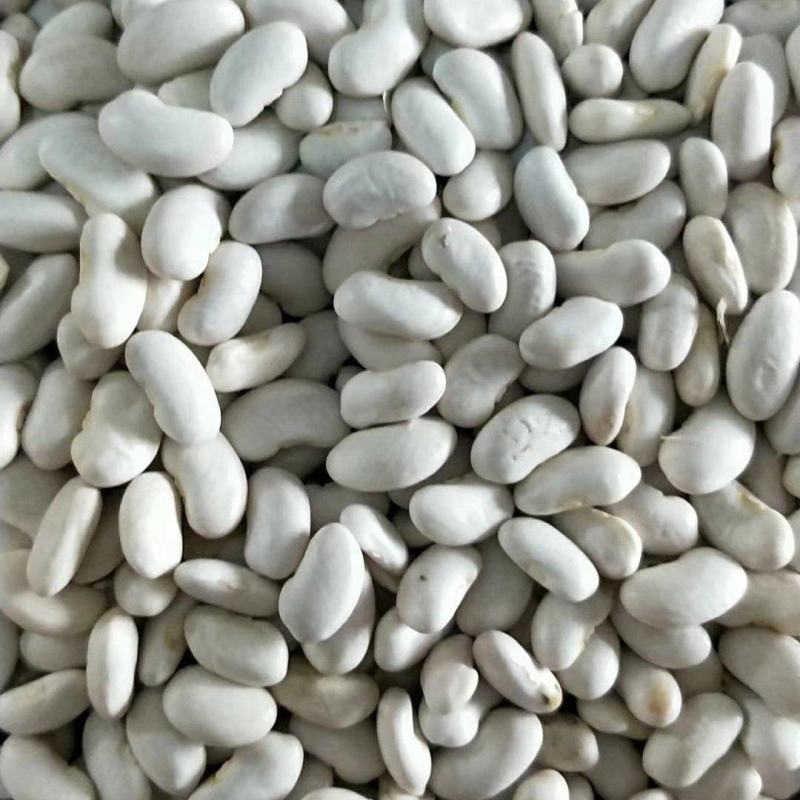 山西芸豆晋北白芸豆红黑豆山西小杂粮价格便宜欢迎咨询