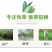 进口黑麦草种子，四倍体小颗粒宽叶黑麦草牧草猪牛羊鸡鸭鹅鱼