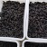 桑椹冻果，茶饮奶茶原料，品质优良。