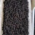桑椹冻果，茶饮奶茶原料，品质优良。