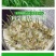 进口高丹草种子，牧草种籽可再生四季耐旱养殖鸡鸭鹅鱼牛羊草