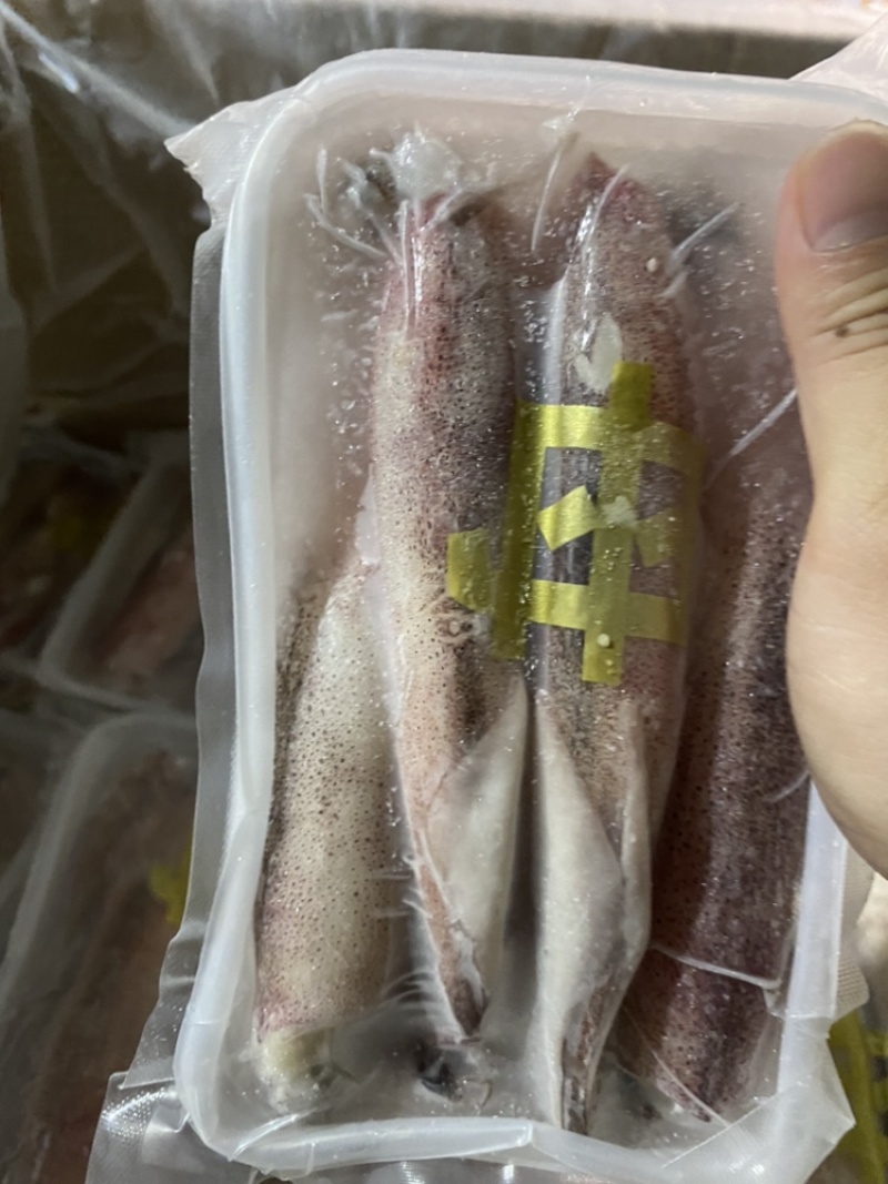 满膏鱿鱼带籽小管海兔带膏鱿鱼母