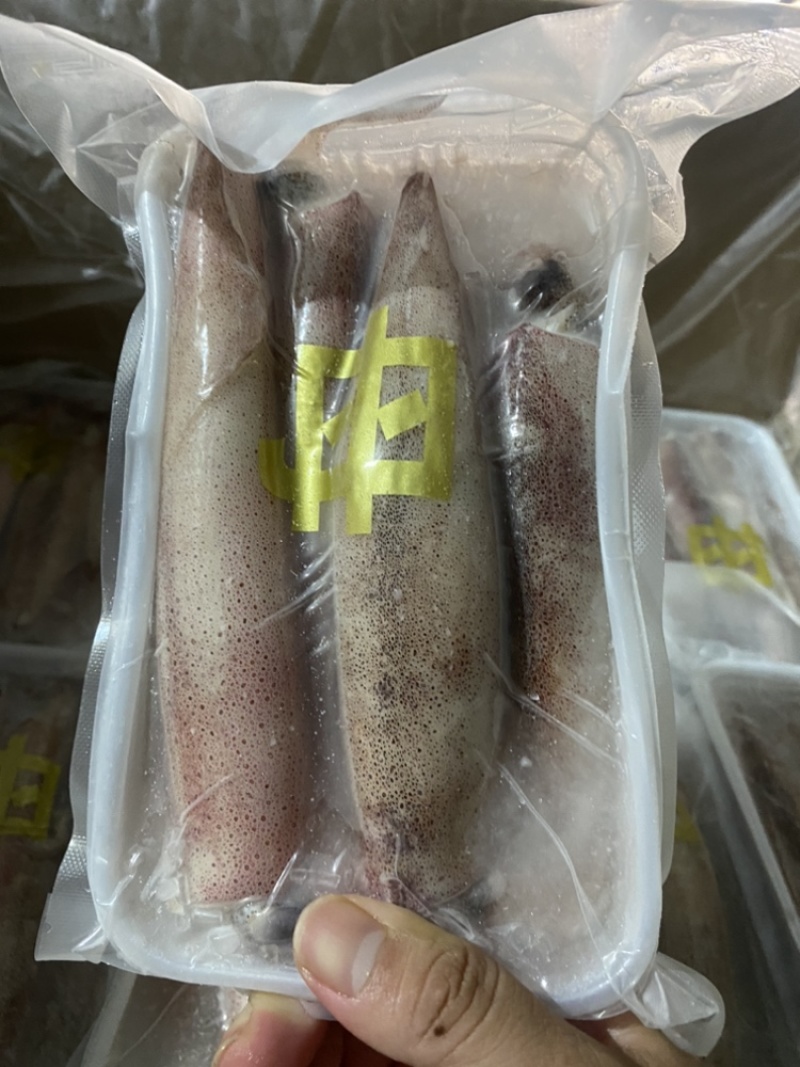 满膏鱿鱼带籽小管海兔带膏鱿鱼母