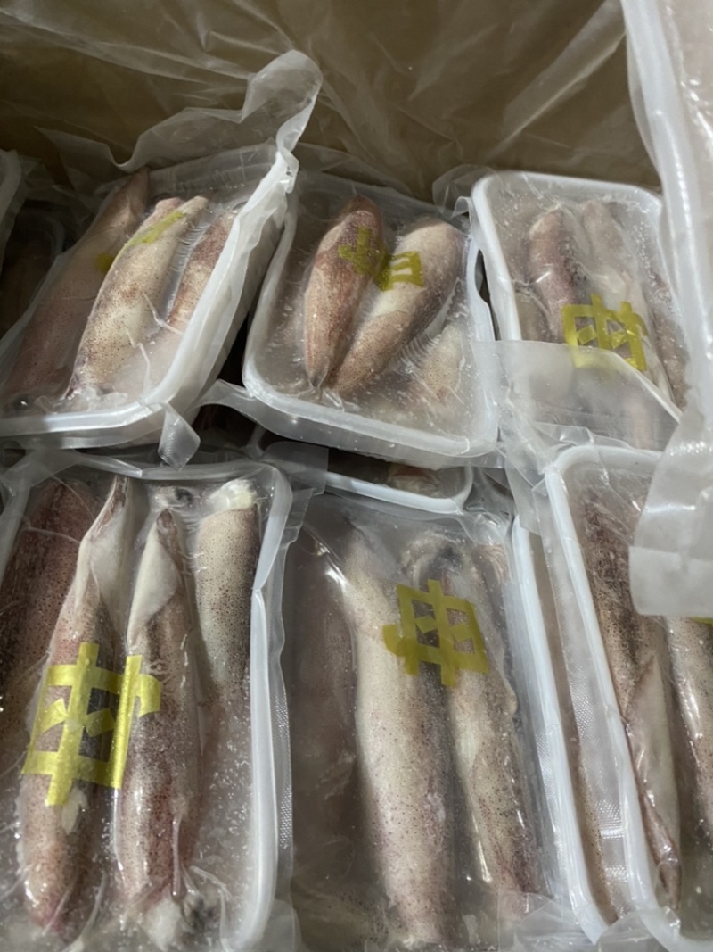 满膏鱿鱼带籽小管海兔带膏鱿鱼母