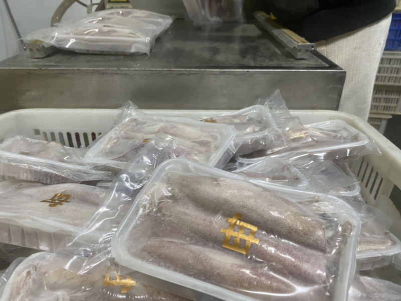 满膏鱿鱼带籽小管海兔带膏鱿鱼母