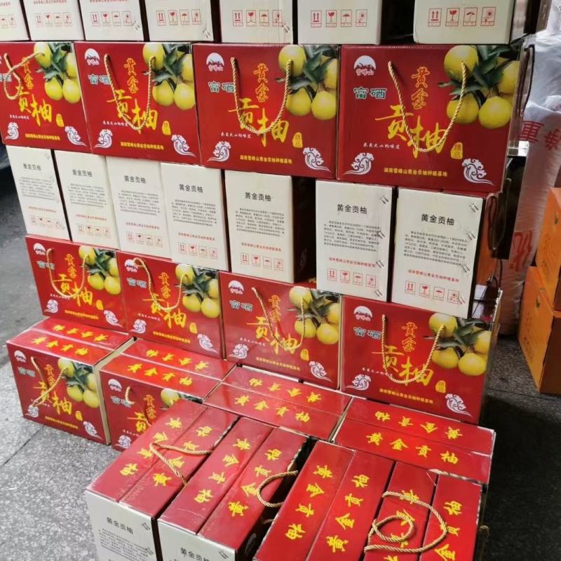 黄金贡柚