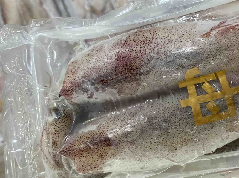 满膏鱿鱼带籽小管海兔带膏鱿鱼母