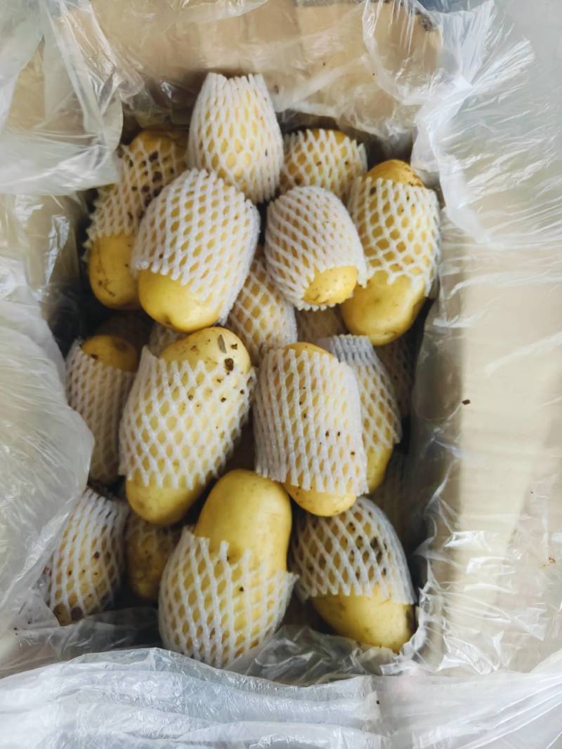 水洗滕州冷库箱子货，四两以上装箱上套，大量现货