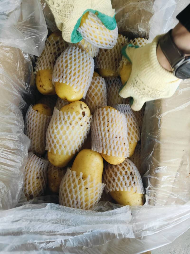 水洗滕州冷库箱子货，四两以上装箱上套，大量现货