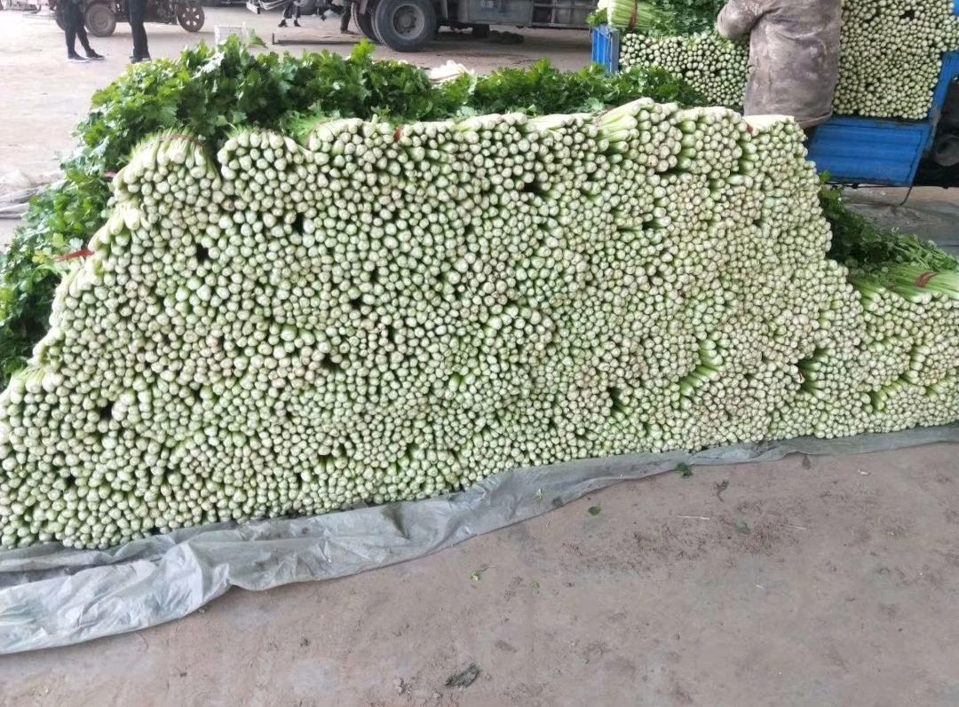 香芹馄饨在锅中煮沸图