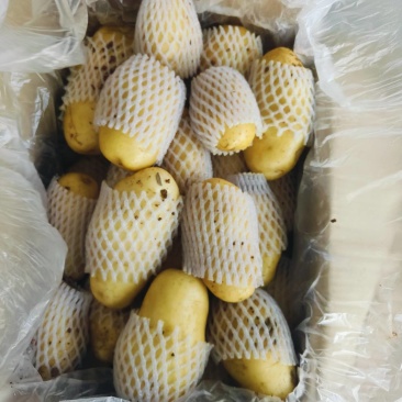 水洗滕州冷库箱子货，四两以上装箱上套，大量现货