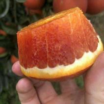 塔罗科血橙。产地直发一手货源。对接各大市场电商社区团购