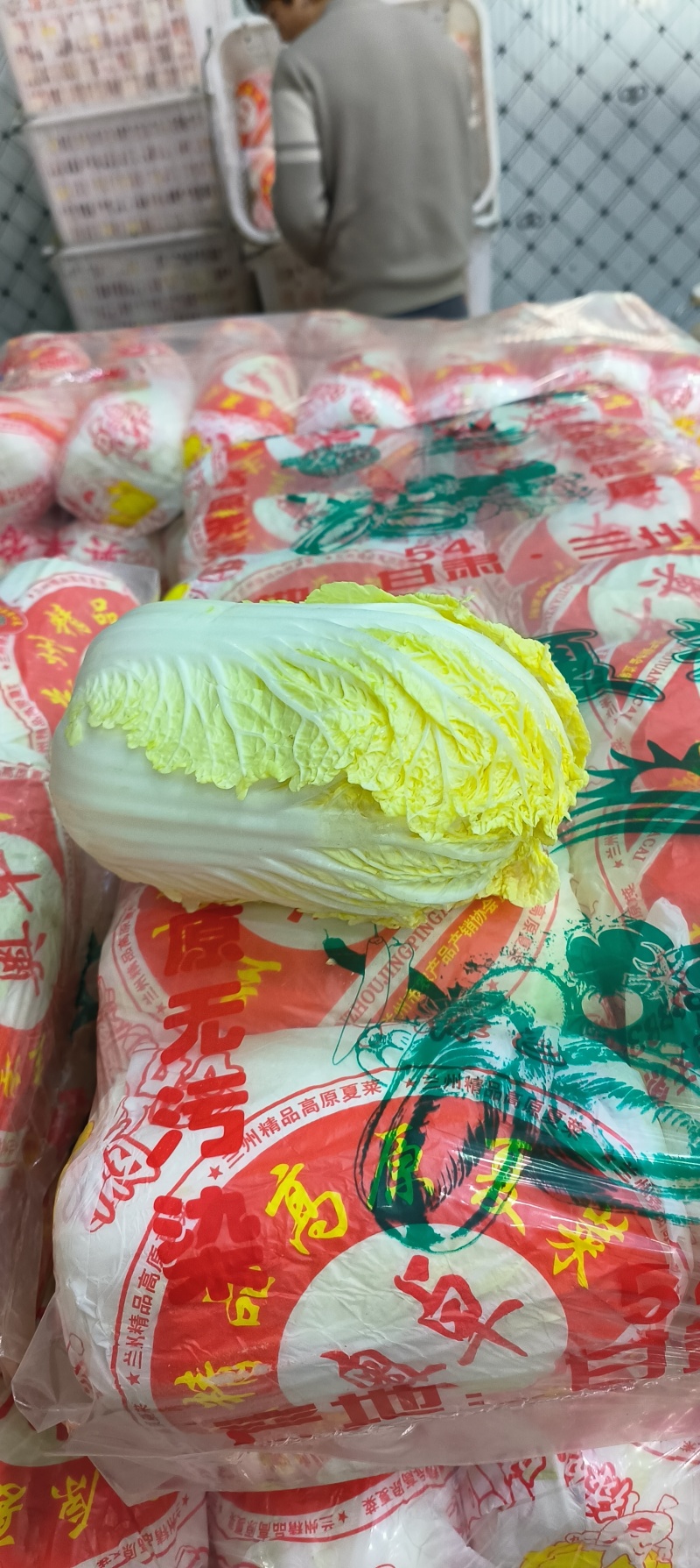 娃娃菜对接各大商超、电商档口