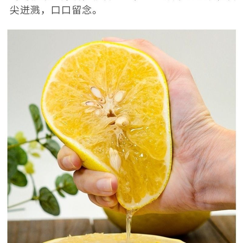 黄金葡萄柚团购一件代发包邮纯甜不酸批发代办