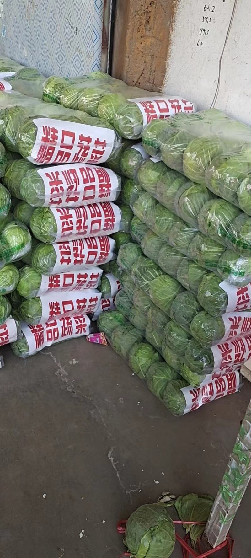 【精品甘蓝】河北甘蓝已上市，品种齐全，价格便宜，诚信经营