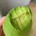 云南哈斯牛油果电商发货一件代发产地直发全国发货