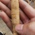 野生小叶牛大力粗皮