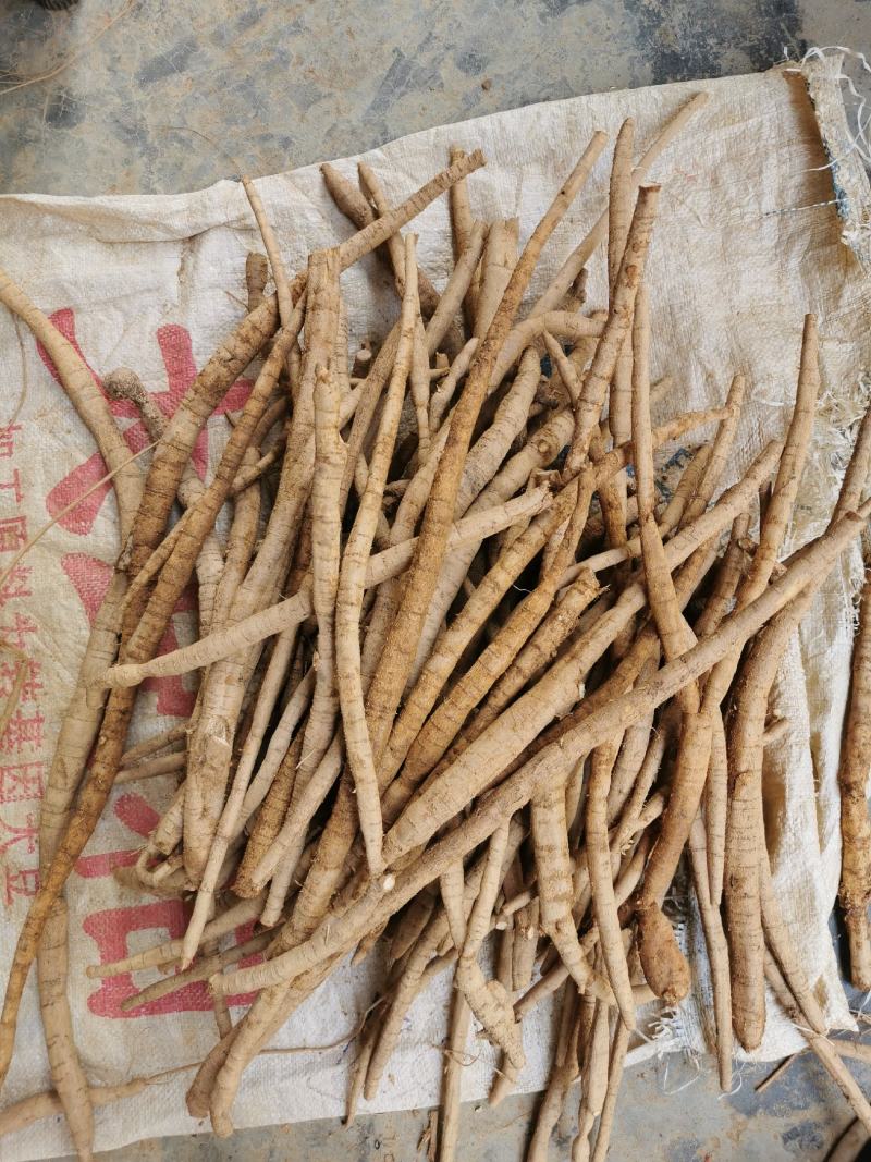 野生小叶牛大力粗皮