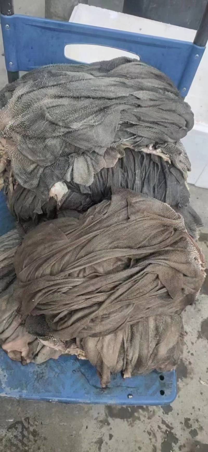 国产纯干冰鲜牛百叶，无掉毛，屠宰场每天出鲜货地板油很干净