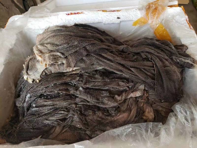 国产纯干冰鲜牛百叶，无掉毛，屠宰场每天出鲜货地板油很干净