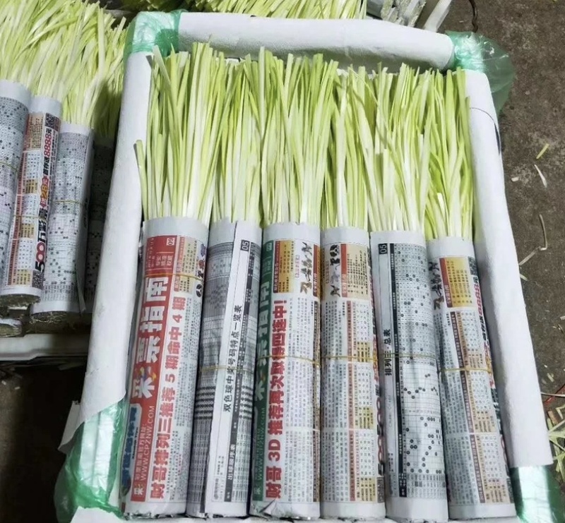 基地直销