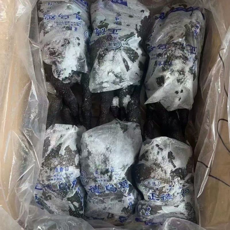 乌鸡白条大量供应欢迎电商市场来电话详谈