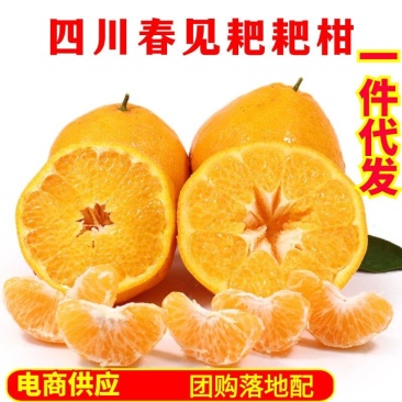 四川耙耙柑春见一件代发眉山耙耙柑产地仓库批发电商包邮