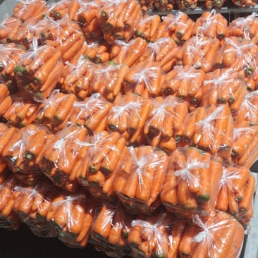 大量供应，量大优惠