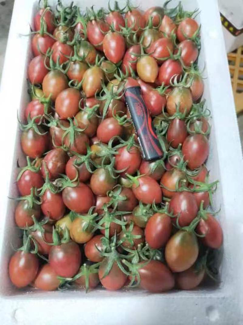 福建漳州子弹头柿子，黄柿子大量上市，欢迎广大老板采购！