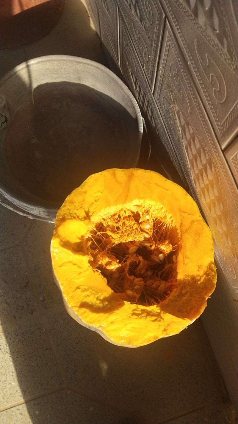 密本南瓜，大量有货，需要的联系，常年供应，欢迎商超