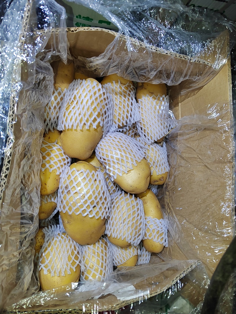 滕州精品土豆，荷兰，V7，沃土，黄皮黄肉，每斤加一毛包邮
