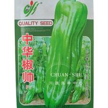 苏椒种子薄皮椒种子薄皮灯笼椒种子长灯笼形翠绿色