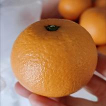 鹿寨蜜橙新鲜孕妇水果橙子农家果园直发现摘香橙非冰糖橙