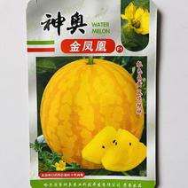 神奥金凤凰西瓜种子早熟高圆型黄皮黄瓤薄皮礼品西瓜种籽孑