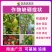 田当家颗粒硼硼肥料农用小麦玉米果树蔬菜通用提坐果率微量元