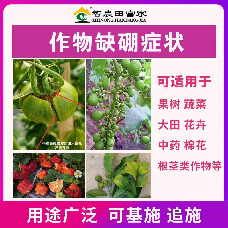 田当家颗粒硼硼肥料农用小麦玉米果树蔬菜通用提坐果率微量元