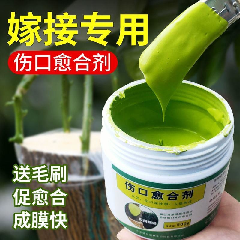 植物伤口愈合剂大树伤口涂抹剂树枝快速修复剂刷子包邮果树愈
