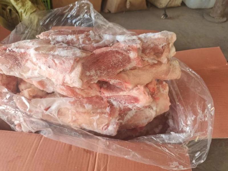 带腱后腿骨