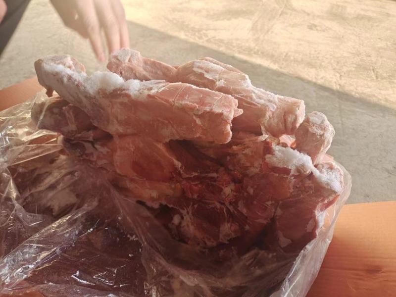 带腱后腿骨