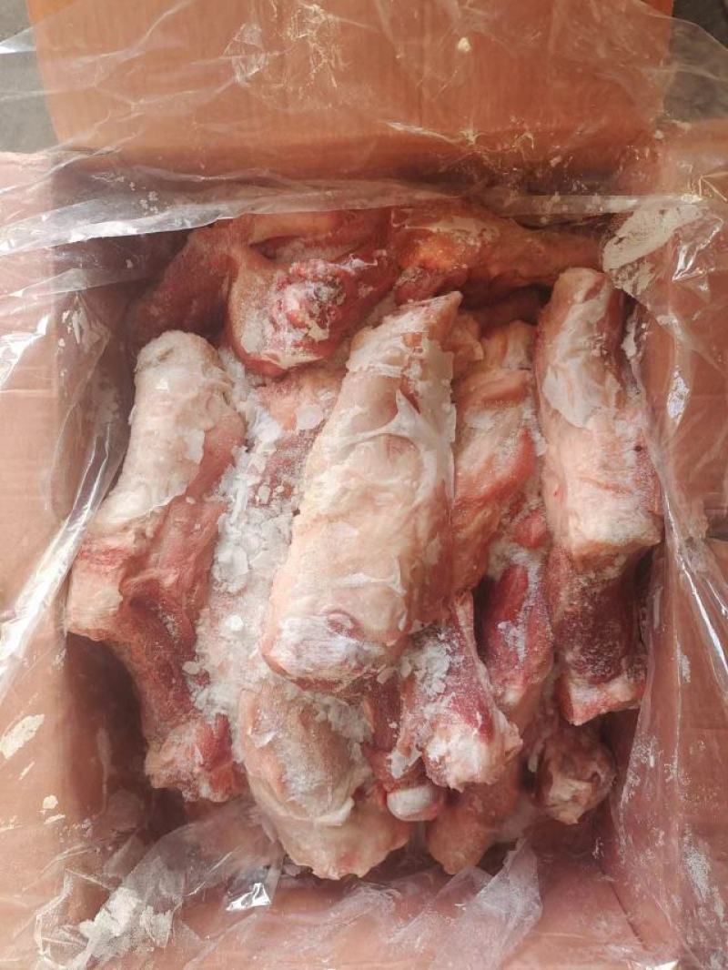 带腱后腿骨