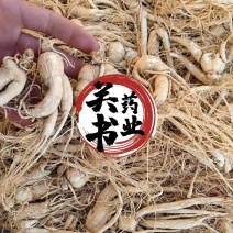 人参无硫原皮白须参45支批发各种规格参类